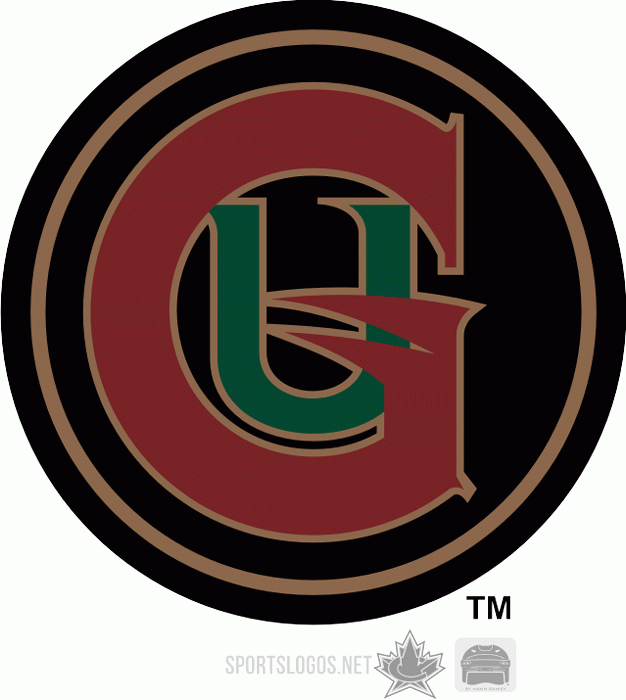 Utah Grizzlies 2002 03 Secondary Logo iron on transfers for clothing